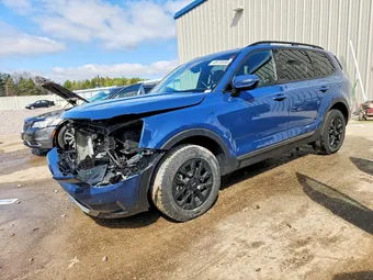 2023 Kia Telluride 5XYP5DGC4PG338402 Lot 48970536