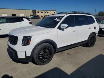 2024 Kia Telluride 5XYP5DGC4RG429883 Lot 45512886