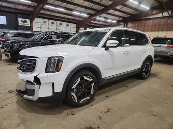 2025 Kia Telluride 5XYP6DGC8SG592331 Lot 46290116