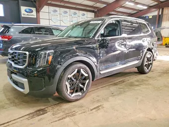 2025 Kia Telluride 5XYP6DGC2SG683627 Lot 46289526