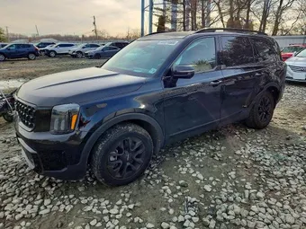 2024 Kia Telluride 5XYP5DGC0RG457308 Lot 47374666