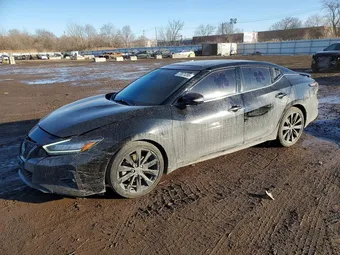 2023 Nissan Maxima 1N4AA6EV8PC502827 Lot 77071285
