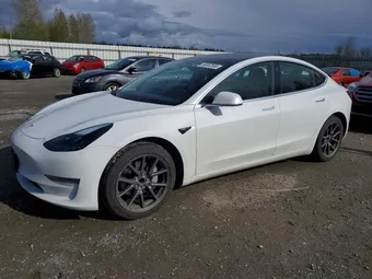 2020 Tesla Model 3 5YJ3E1EA6LF786575 Lot 50082556