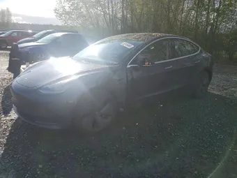 2020 Tesla Model 3 5YJ3E1EB0LF710679 Lot 50145466