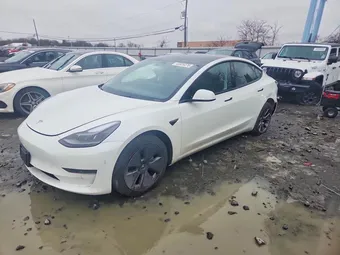 2023 Tesla Model 3 5YJ3E1EA8PF542061 Lot 45826076