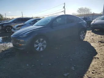 2023 Tesla Model Y 7SAYGDEFXPA049009 Lot 48579506