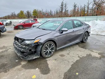 2019 Toyota Camry 4T1B11HK1KU849501 Lot 79756395