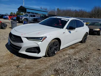 2021 Acura TLX 19UUB6F50MA000695