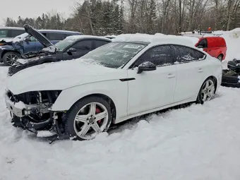 2024 Audi S5 Sportback WAUB4CF53RA085440