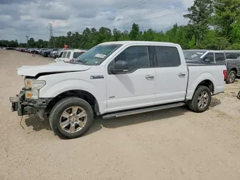 2015 Ford F-150 1FTEW1CP2FKD95265 Lot 41725006