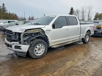 2019 Ford F-150 1FTFW1E57KFD38725 Lot 79818795