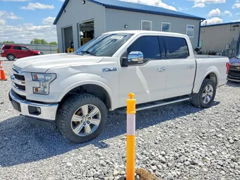 2016 Ford F-150 1FTEW1EG3GFA29421 Lot 50420726