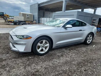 2019 Ford Mustang 1FA6P8TH9K5194044 Lot 50596766