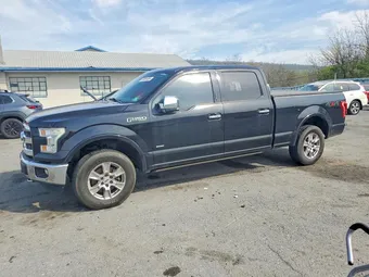 2016 Ford F-150 1FTFW1EG3GFA75206 Lot 49864496