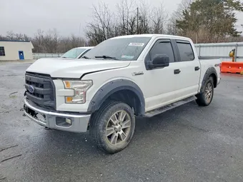 2015 Ford F-150 1FTEW1E85FFC10348 Lot 79260955