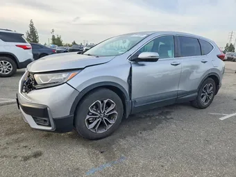 2020 Honda CR-V 2HKRW1H56LH426827 Lot 50148956