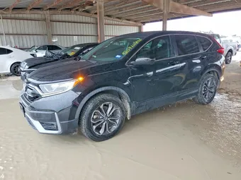 2020 Honda CR-V 2HKRW1H89LH427058 Lot 50726296
