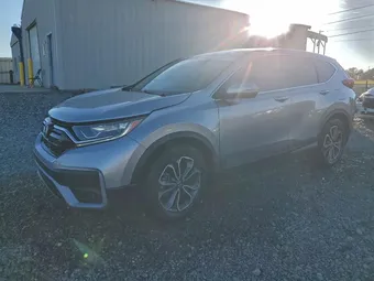 2020 Honda CR-V 7FARW1H81LE026283 Lot 95925755