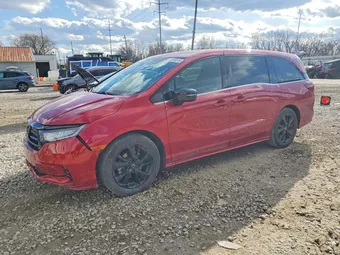 2023 Honda Odyssey 5FNRL6H75PB043974 Lot 45555616