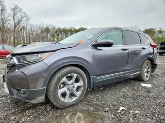 2019 Honda CR-V 2HKRW1H53KH507394 Lot 79125655