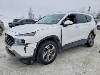 2023 Hyundai Santa Fe 5NMS2DAJ0PH579809 Lot 46208846