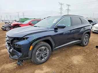 2025 Hyundai Tucson KM8JBDD17SU322506 Lot 48154956