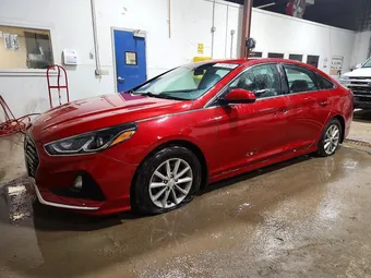 2019 Hyundai Sonata 5NPE24AF4KH807010 Lot 77131395
