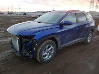 2023 Hyundai Tucson 5NMJBCAE8PH285289 Lot 75929695