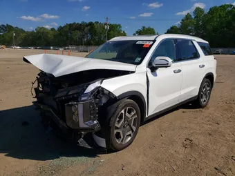 2025 Hyundai Palisade KM8R54GE8SU857174 Lot 47993876