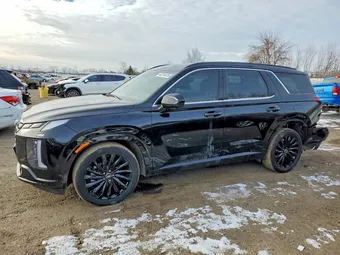 2025 Hyundai Palisade KM8R5DGE3SU873976 Lot 46218476