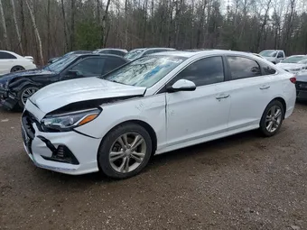 2019 Hyundai Sonata 5NPE34AF2KH760167 Lot 49550376