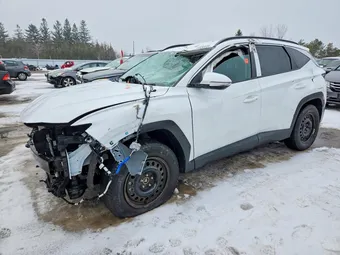 2025 Hyundai Tucson 5NMJBCDE4SH510473 Lot 76555855