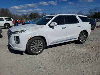 2020 Hyundai Palisade KM8R5DHE4LU075129 Lot 79832895