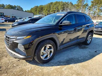 2023 Hyundai Tucson 5NMJBCAE6PH190584 Lot 77386885