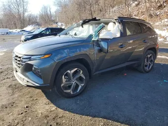 2023 Hyundai Tucson 5NMJFCAE9PH181060 Lot 73284605
