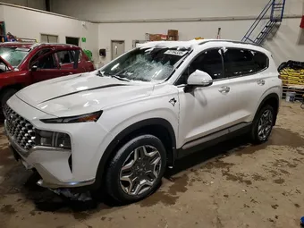 2023 Hyundai Santa Fe KM8S5DA14PU078935 Lot 72764335