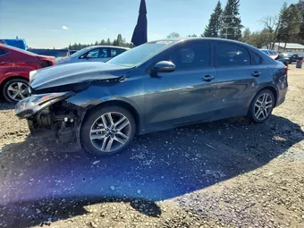 2019 Kia Forte 3KPF34AD8KE134064 Lot 46883296