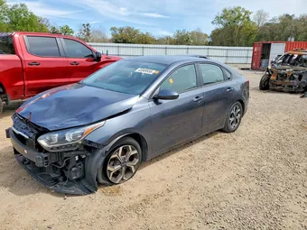 2020 Kia Forte 3KPF24AD8LE218339 Lot 45969956