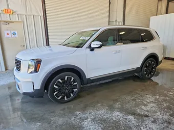 2023 Kia Telluride 5XYP5DGC6PG340975