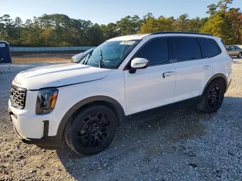 2021 Kia Telluride 5XYP3DHC4MG158563 Lot 74925115