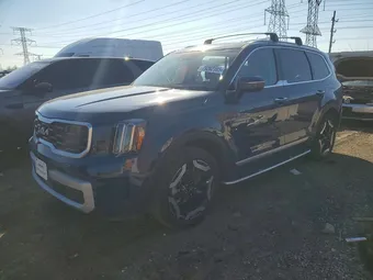 2025 Kia Telluride 5XYP64GC2SG710941 Lot 79202105
