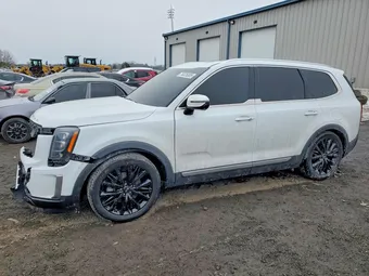 2020 Kia Telluride 5XYP5DHCXLG084087 Lot 76326805