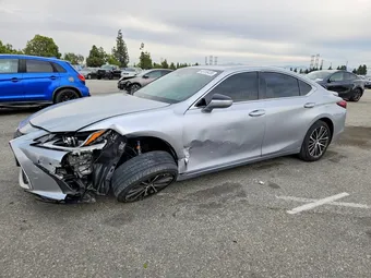 2024 Lexus ES 58ADA1C12RU045671 Lot 48156436
