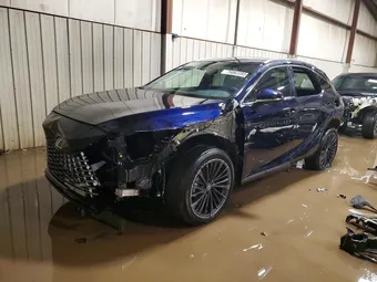 2025 Lexus RX 2T2BBMCA7SC104536 Lot 75862285