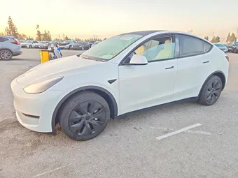 2024 Tesla Model Y 7SAYGDED8RF154488 Lot 45616186