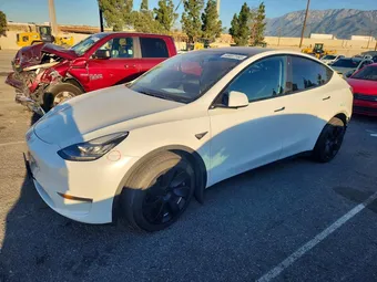 2020 Tesla Model Y 5YJYGDEE7LF054685 Lot 46687166