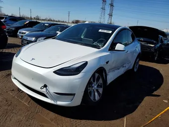 2023 Tesla Model Y 7SAYGDEE6PF802111 Lot 46561006