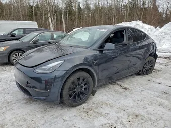 2024 Tesla Model Y 7SAYGDEE5RF992597 Lot 96006795