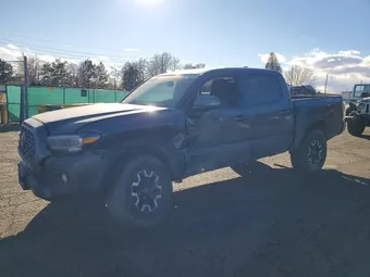 2023 Toyota Tacoma 3TMCZ5AN6PM540437 Lot 99155785