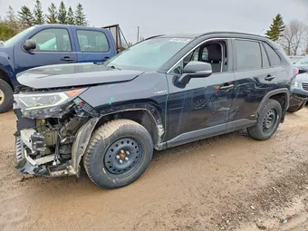 2020 Toyota RAV4 2T3RWRFV5LW052463 Lot 46451126